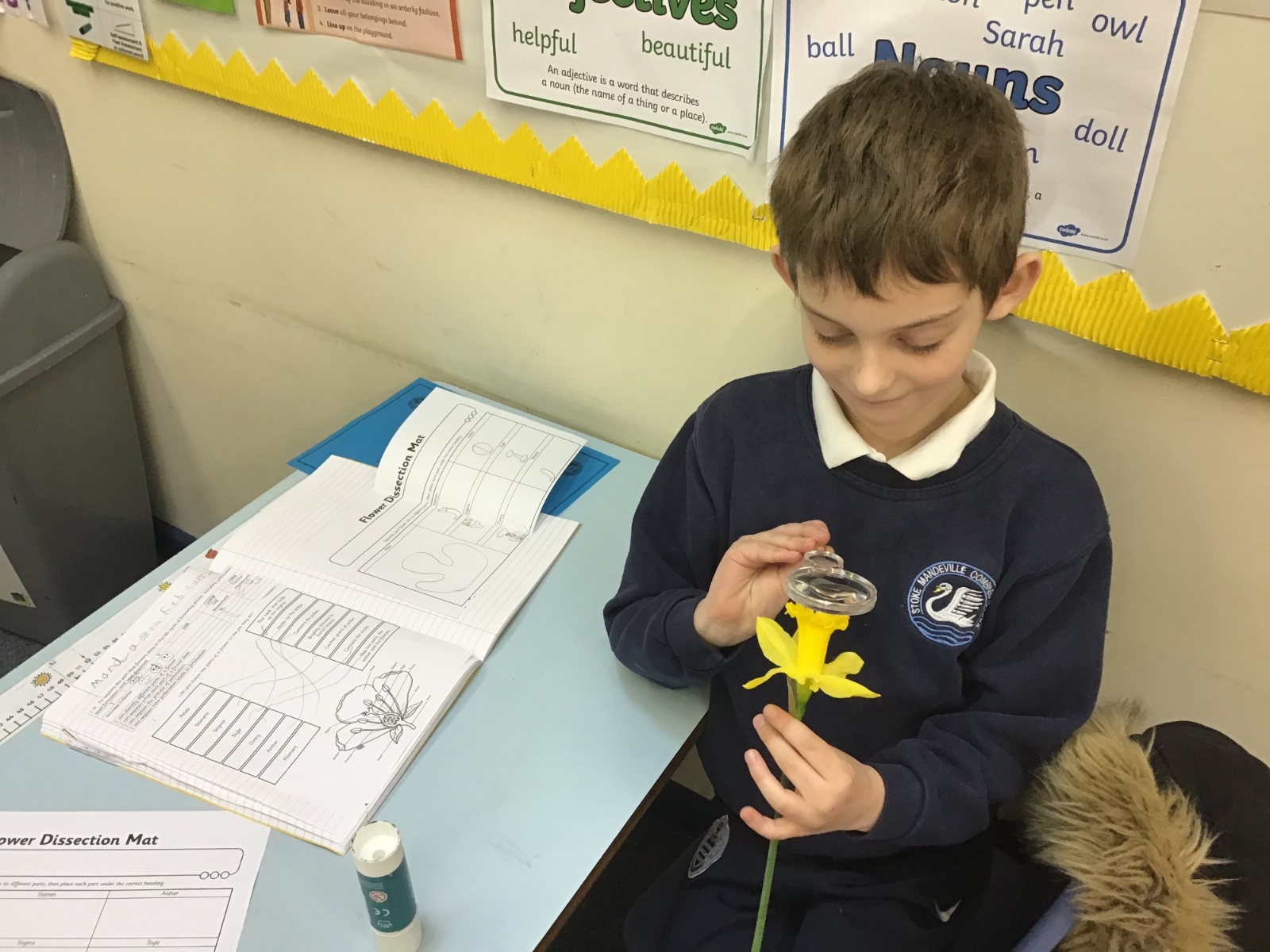 Stoke mandeville combined school jobs